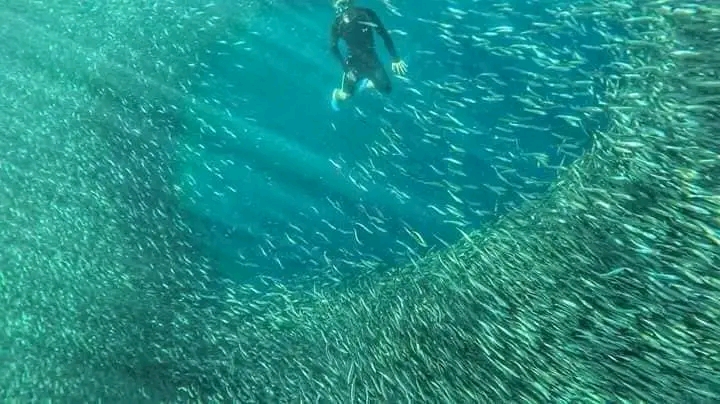 202206021823141754889_1653202448169.jpg